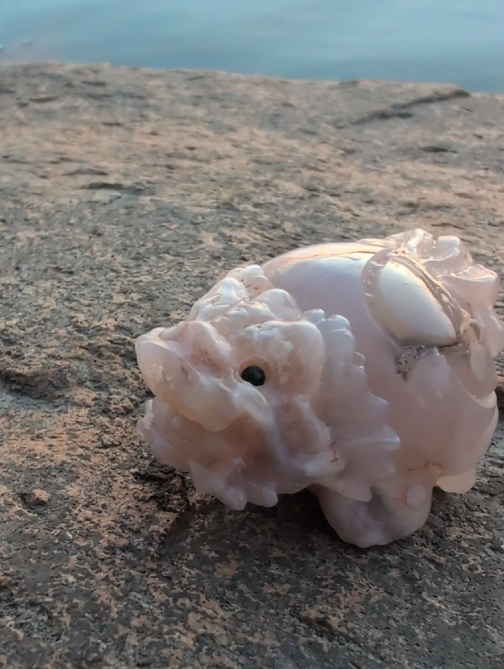 Turtle Dragon Baby Sakura Agate Cherry Blossom - Picture 3 of 4